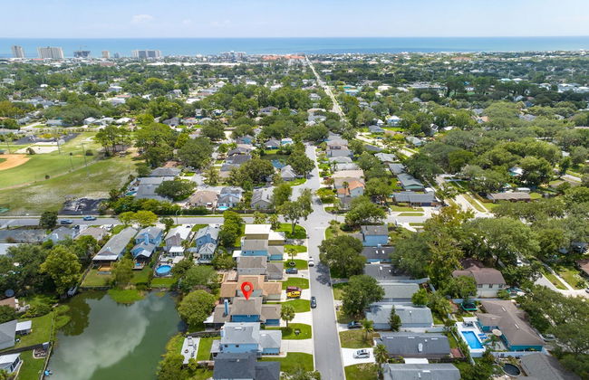 Paradise Palm - Foto 43