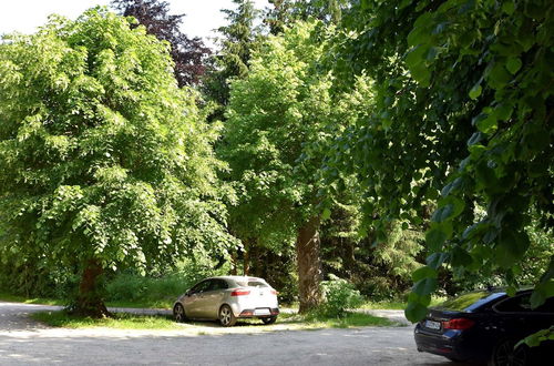 Foto 19 - Bungalow in the Harz Mountains With Terrace