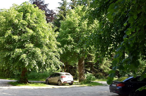 Photo 19 - Bungalow in the Harz Mountains With Terrace