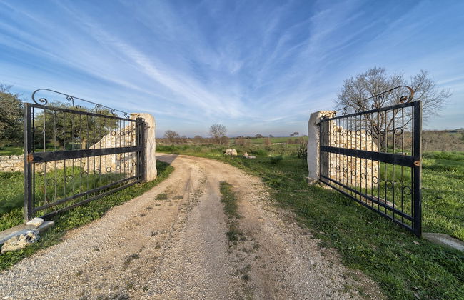 Tenuta del Grillaio - Foto 23