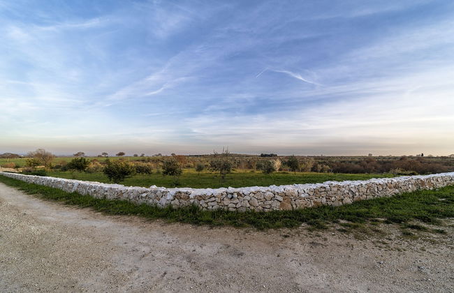 Tenuta del Grillaio - Foto 26