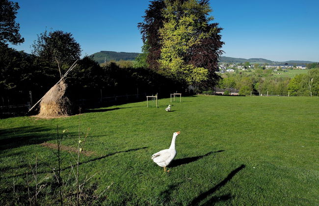 Domaine de Priesmont - Foto 32