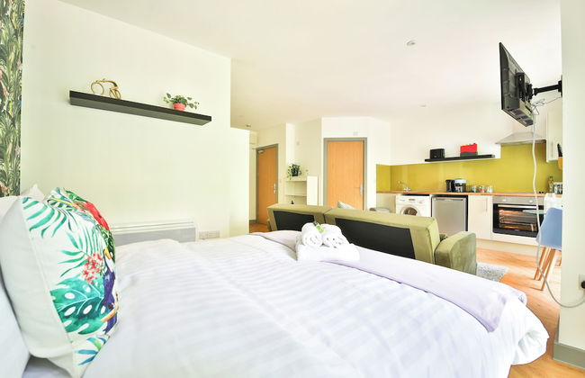Princess Lofts Studios - Swansea City Centre - Foto 7