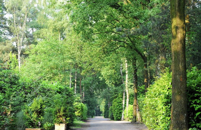 Chalet in Parc de Kievit With Private Garden - Foto 11