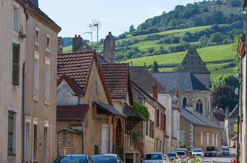 Photo 29 - Les Sarments ***** - Beaune