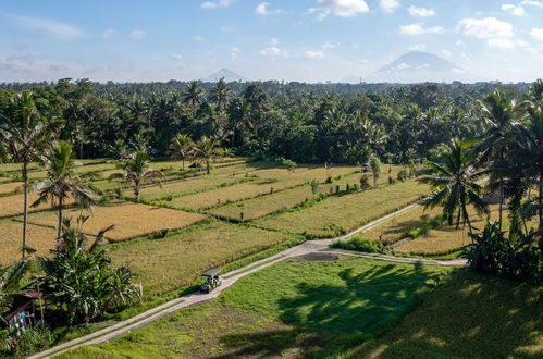 Foto 24 - Sacred Canyon Ubud by Pramana Villas