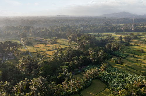 Photo 25 - Sacred Canyon Ubud by Pramana Villas