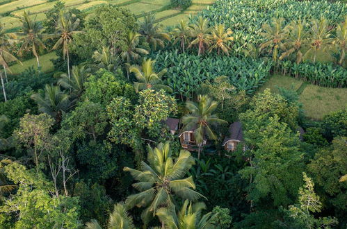 Photo 22 - Sacred Canyon Ubud by Pramana Villas