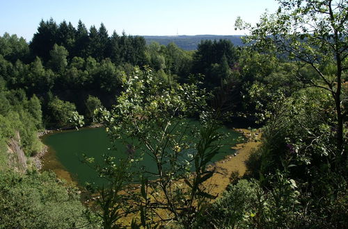 Photo 33 - Detached, Nice Bungalow on Katzenbuckel Mountain