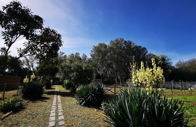 Quinta do Louredo - Foto 56