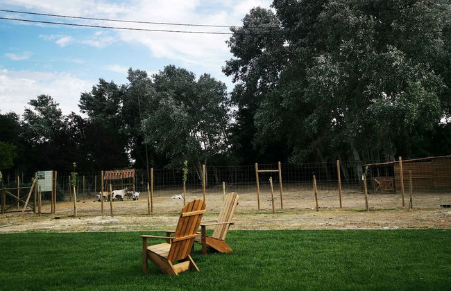 Quinta do Louredo - Foto 50