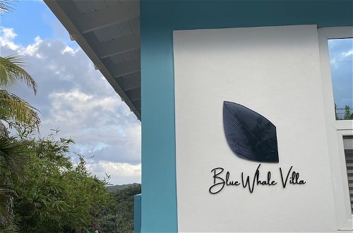 Foto 51 - Blue Whale Villa