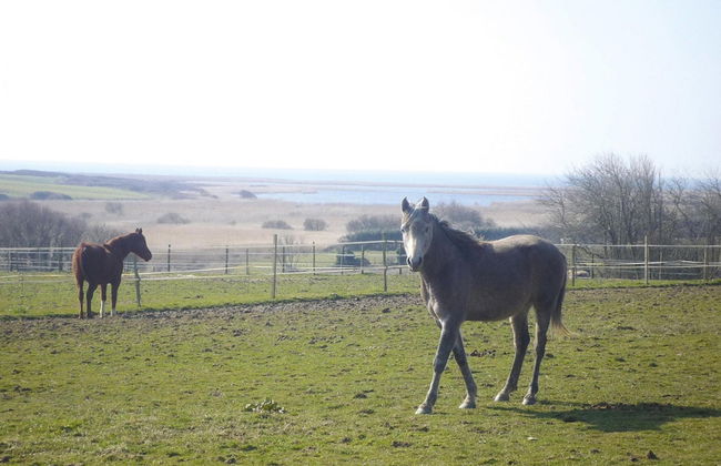Holiday Home, Plovan - Foto 20