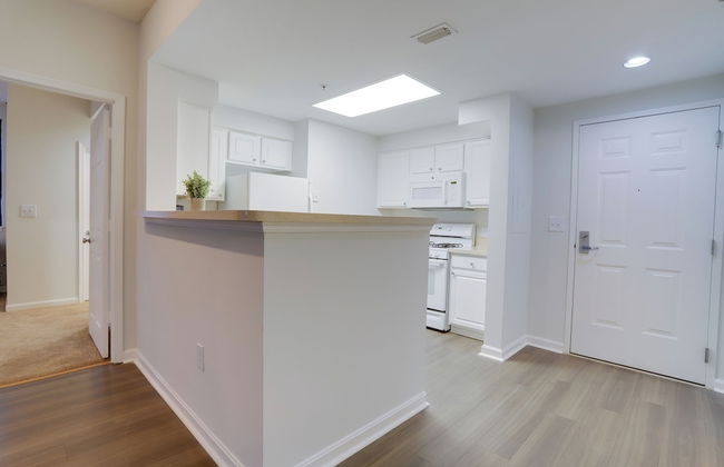 Arlington Apartments Near DC - Foto 47