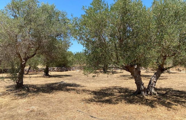 Garden Villa Near Chania's Coastline - Photo 28