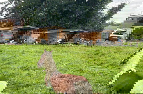 Foto 10 - Bambi's Hideaway