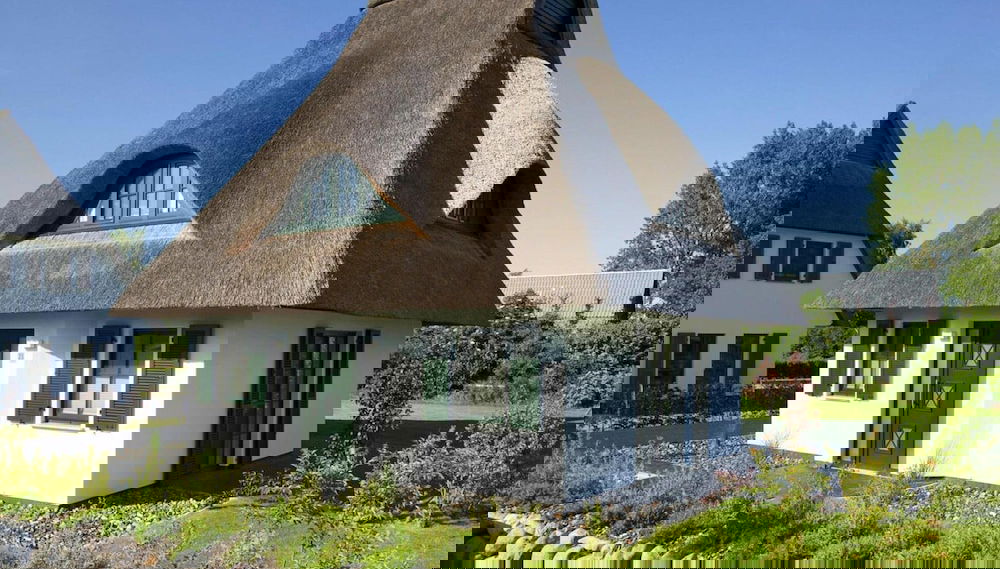 Imagem principal