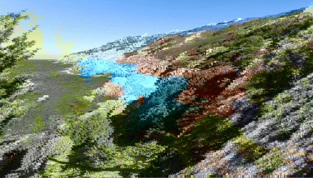 Primary image