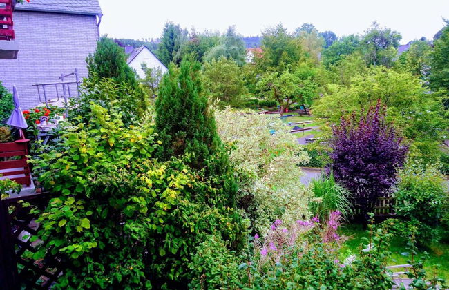 Vibrant Apartment in Willingen With Private Terrace - Foto 45