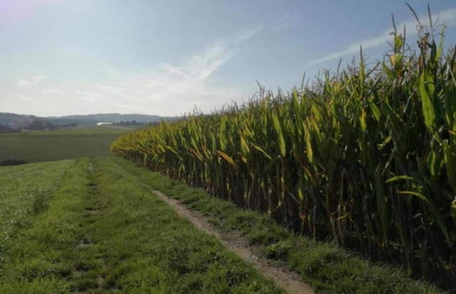 Gorgeous Holiday Home in Altenfeld Thuringia - Foto 58
