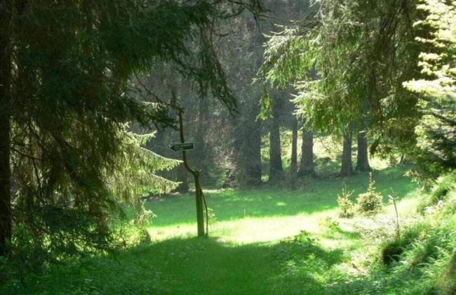 Gorgeous Holiday Home in Altenfeld Thuringia - Foto 60