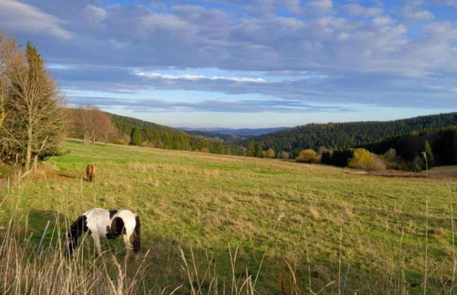 Gorgeous Holiday Home in Altenfeld Thuringia - Foto 55