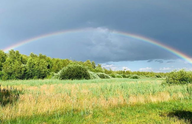 Attractive Holiday Home in Ahlbeck With Terrace - Foto 78