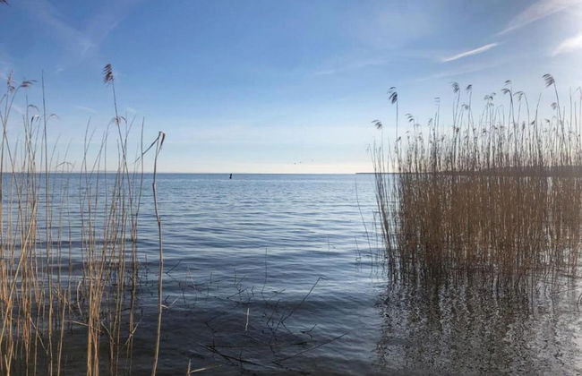 Attractive Holiday Home in Ahlbeck With Terrace - Foto 73