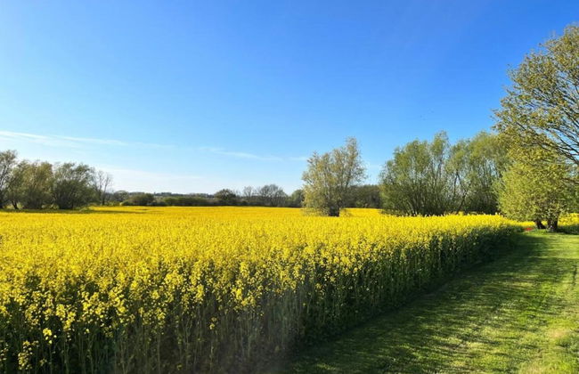 Modern Apartment in Elmenhorst Near Sea - Foto 78