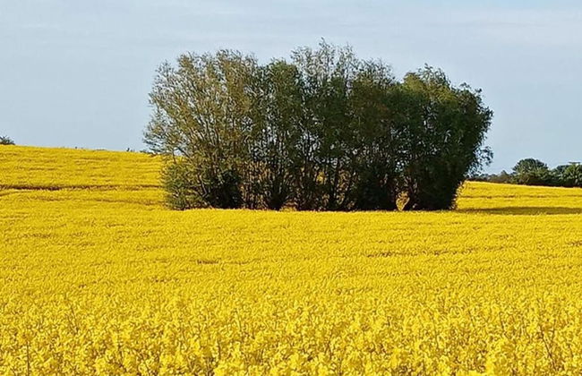 Modern Apartment in Elmenhorst Near Sea - Foto 69