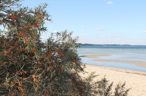 Photo 25 - Idyllic Bungalow in Damshagen near Baltic Sea