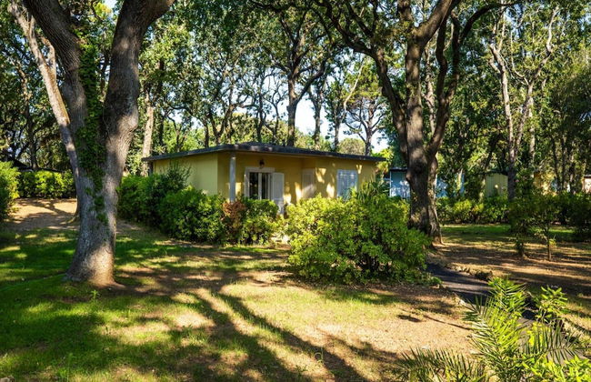 San Vincenzo Bungalow With Sauna - Foto 22