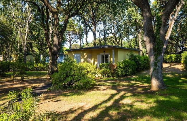 San Vincenzo Bungalow With Sauna - Foto 23