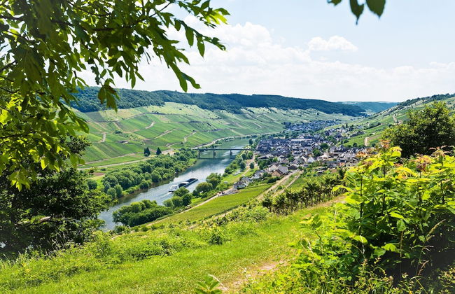 Restyled Villa with Washing Machine near River Moselle - Foto 39
