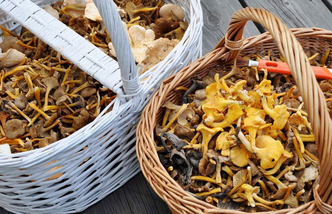 4 Star Holiday Home in Allingsas - Foto 13