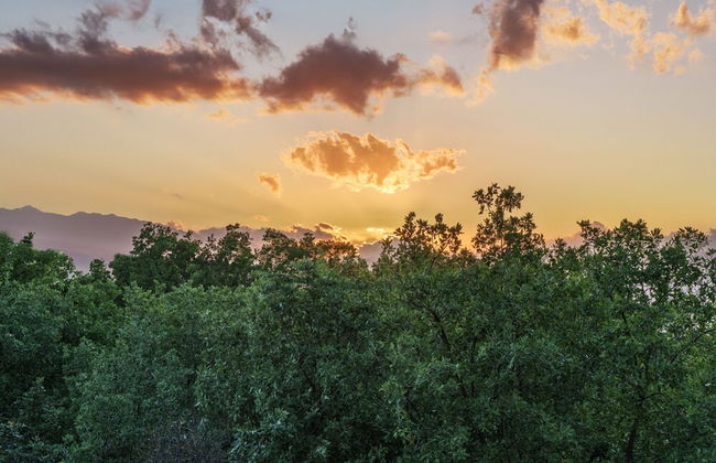 Sunset Bliss Home in Atsipopoulo Village - Photo 22