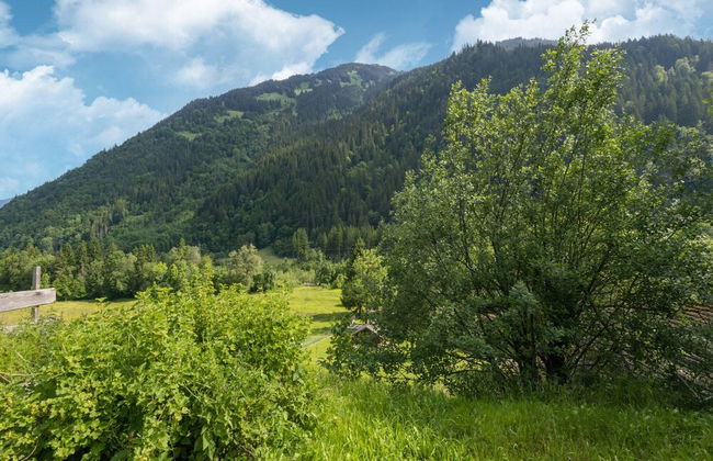 Chalet in St. Gallenkirch Near Ski Lift - Foto 38