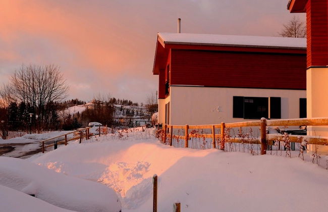 Luxury Cottage With Wood Stove, ski Area at 200m - Foto 23