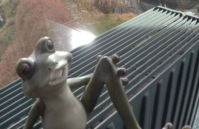 Uitzicht op Droomlocatie - Foto 22