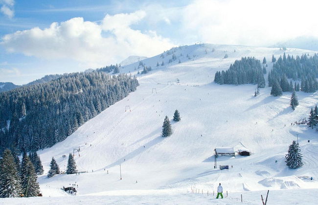 Alpine Escape & Wellness Stay - Foto 1