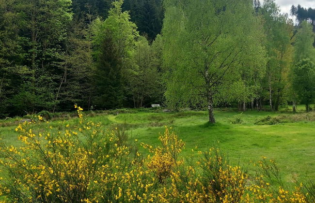 Nature Retreat in Lorraine - Foto 37