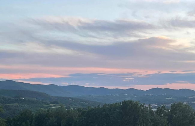 Guest House in Monferrato With Castle Views - Foto 38