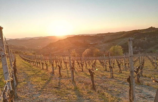 Guest House in Monferrato With Castle Views - Foto 35