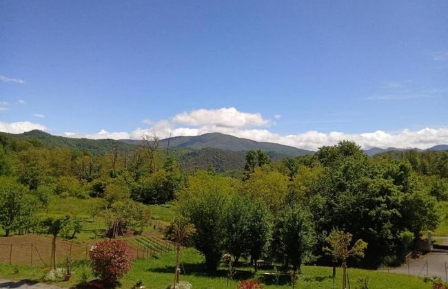 Guest House in Monferrato With Castle Views - Foto 39