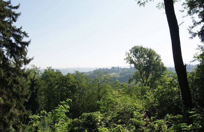 Guest House in Monferrato With Castle Views - Foto 27