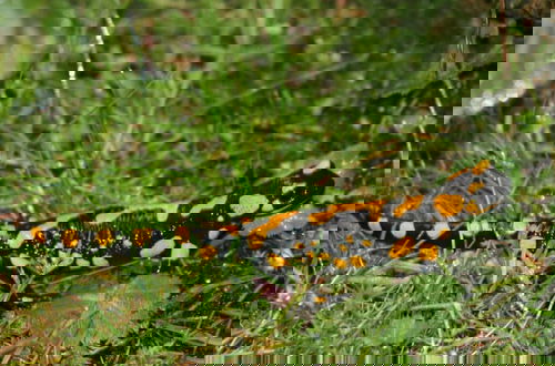 Foto 23 - Nagelsmederij in het Huis Waldwinkel