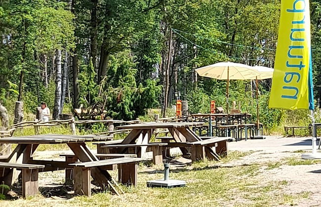 Oud-turnhout Nature Chalet - Photo 27
