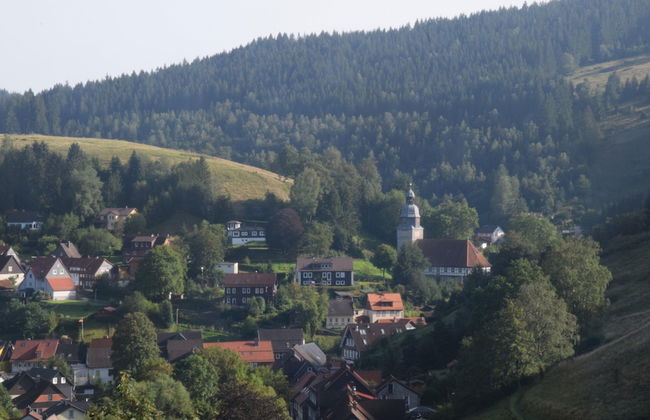 Charming Attic Hideaway, Harz - Foto 42