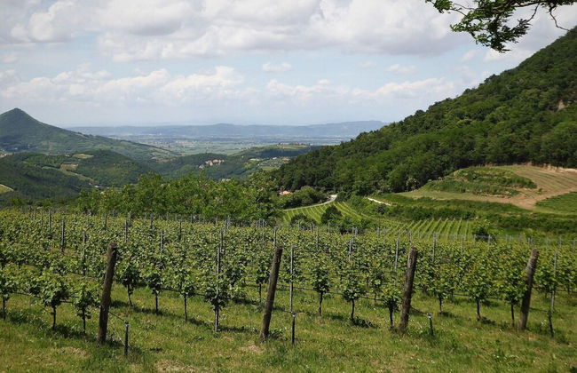 Belvilla by OYO Ca' Landrini - Foto 27