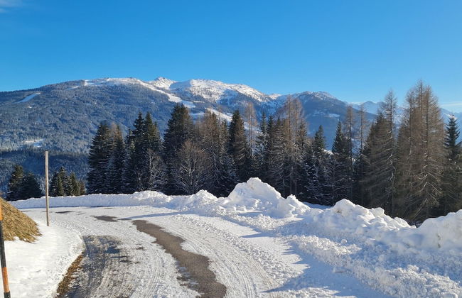Flat in Wagrain Near Ski Slopes - Foto 20